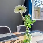 Spacious 2 Bedroom House Long Term Stays